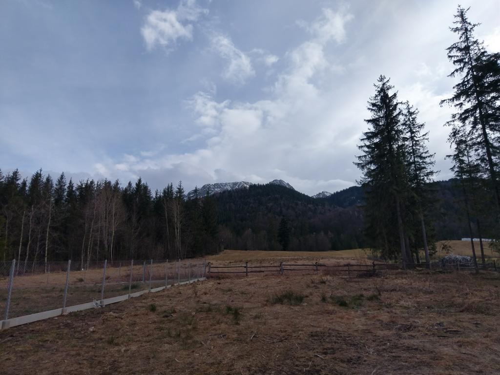 Apartamencik Z Widokiem Na Giewont Zakopane Kültér fotó
