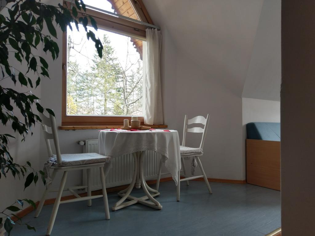 Apartamencik Z Widokiem Na Giewont Zakopane Kültér fotó