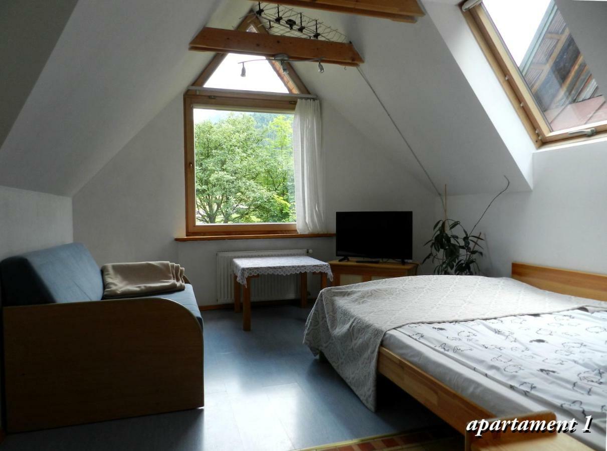 Apartamencik Z Widokiem Na Giewont Zakopane Kültér fotó