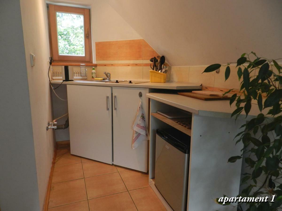 Apartamencik Z Widokiem Na Giewont Zakopane Kültér fotó