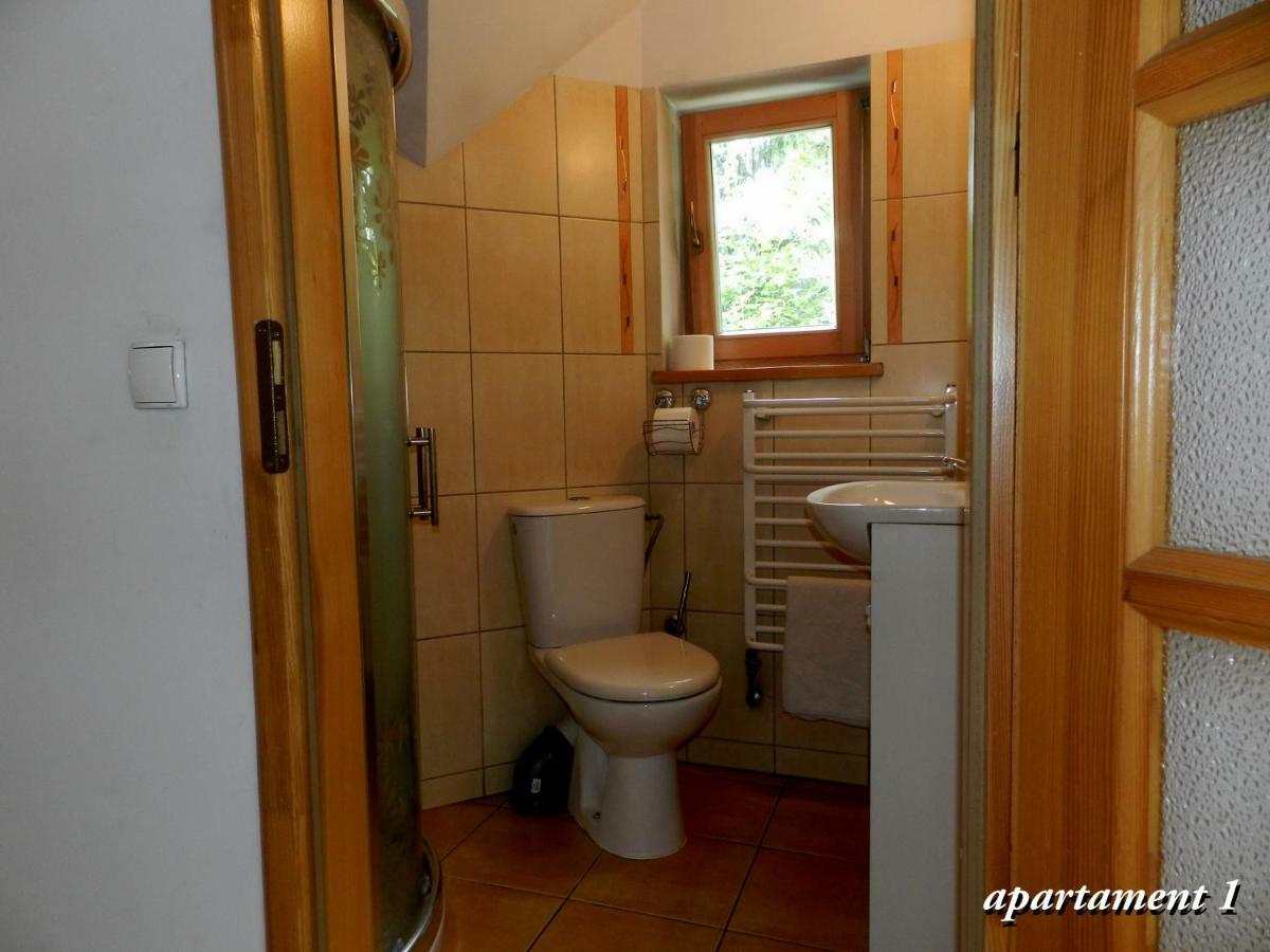 Apartamencik Z Widokiem Na Giewont Zakopane Kültér fotó